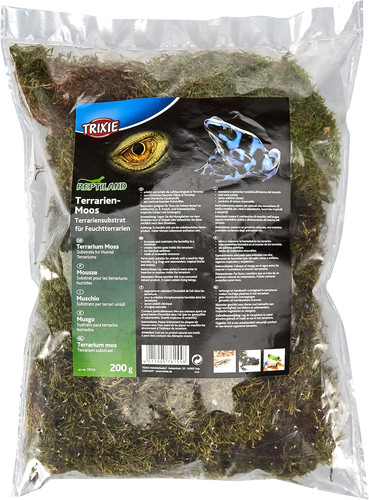 Terrarium muschio per terrari - terrarium,