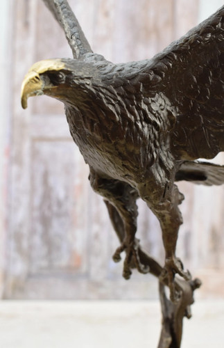Scultura aquila bronzo animale - aquila,