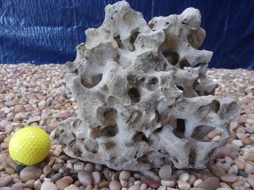 Texas holey rock - 06#,