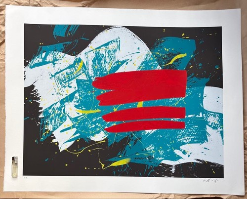 Grande serigrafia bandiera