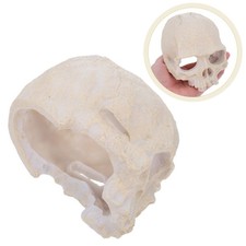 2 Pcs Acquario Decorazioni