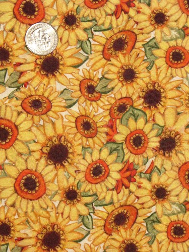 Girasoli autunno fiori - girasoli,