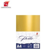 GS Cartotecnica 50 fg