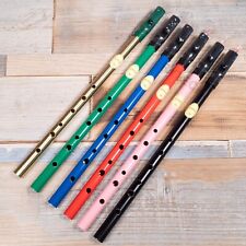 Feadog Originale D Irlandese 6 Fori Tin Whistle Penny Folk Metallo Flauto Musica Colorato