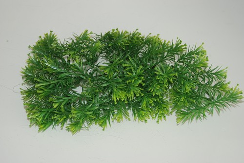 Terrario realistica plastica - terrario,
