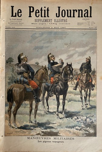 Piccolo giornale 1897 - giornale, 337