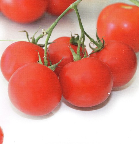 Semi seeds pomodoro - /,