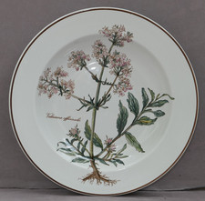 Villeroy & Boch Botanica 1 di 4 zuppiera Ø 22 cm Valeriana officinalis top