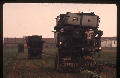 Sl31 slide anni - slide,