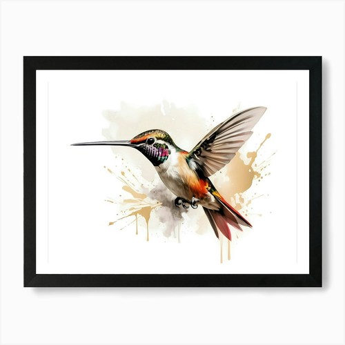 Kolibri colibrì acquerello - -,