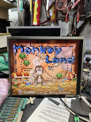Scheda slot monkey land - di,