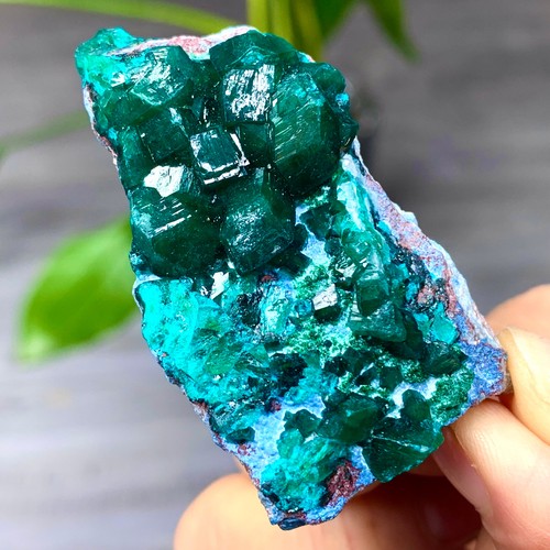 Esemplare minerale grappolo - esemplare,