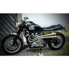 TRIUMPH