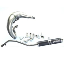 Marmitta Polini For Race Beta