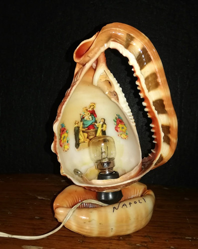 Conchiglia lampada tavolo - conchiglia,