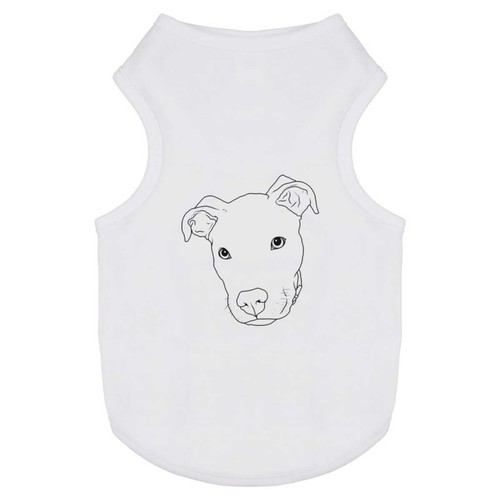 Pit bull terrier - 'pit,