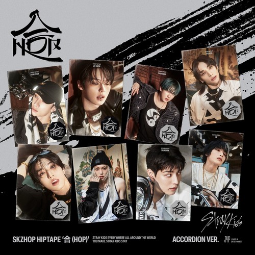 Stray kids 合 skzhop - stray,