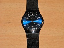 SKAGEN T233XLTMN TITANIO