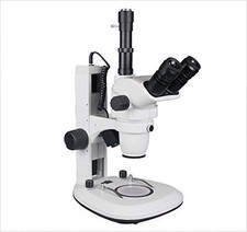 Microscopio digitale stereo