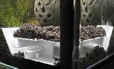 Gamberetti angolari sotterranei acquario tunnel/pesci serbatoio accessori e nascondigli