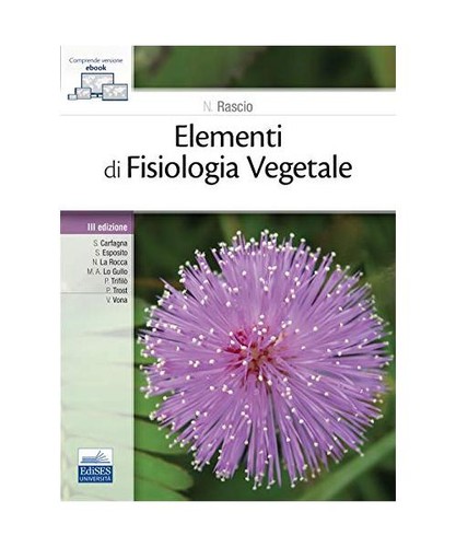Elementi fisiologia - elementi, di
