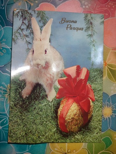 Cartolina buona pasqua non - buona,