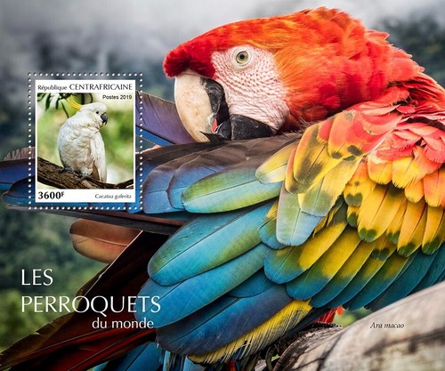 Francobolli pappagalli mnh - pappagalli,