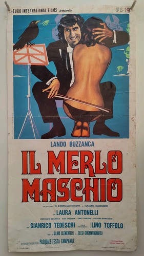Merlo maschio buzzanca - merlo,