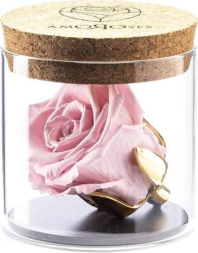 Bijou rosa stabilizzata - bijou,