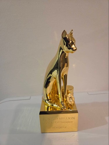 Trofeo poker - poker, o2