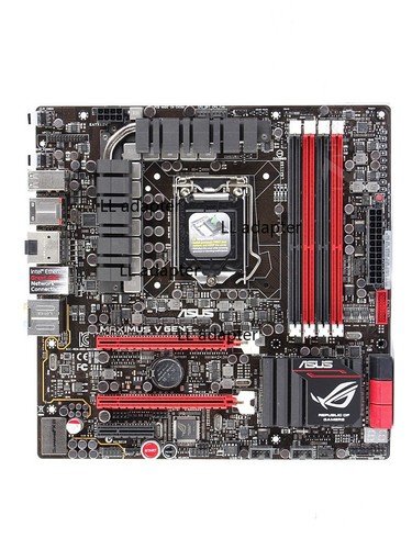 Per asus maximus gene scheda - per,