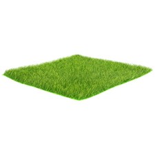  Artificial Lawn Erbetta Finta