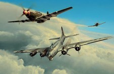 Wounded Warrior di Richard