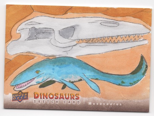 Carta schizzo dinosauri mazzo