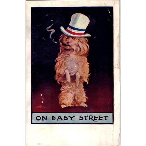 Smoking dog dressed uncle - dressed,