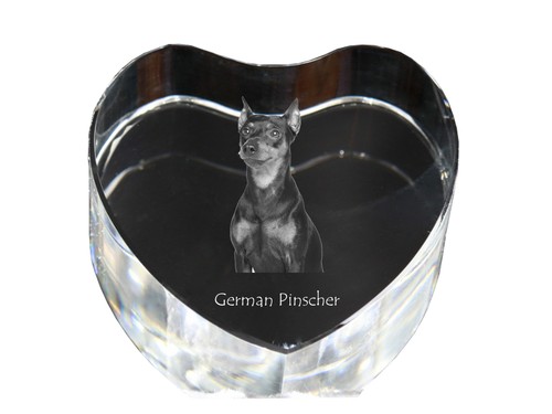 Pinscher tedesco cuore - , di