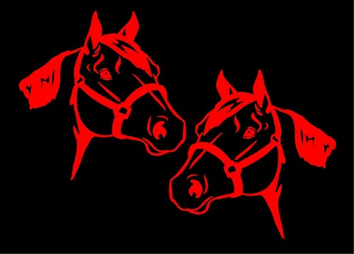 Decalcomanie quarto cavallo - quarto,