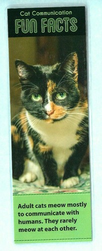 Tartaruga calico cat bookmark - calico,