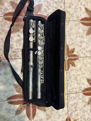Flauto traverso - flauto,