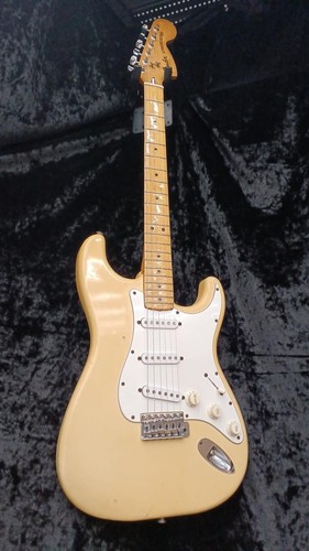 Chitarra elettrica - (fender),