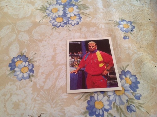 Figurina world wrestling - world,