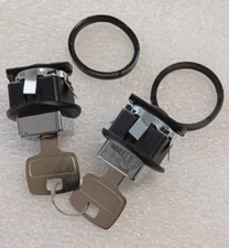 196186 COPPIA PULSANTI