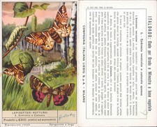 FIGURINA LIEBIG ANNI