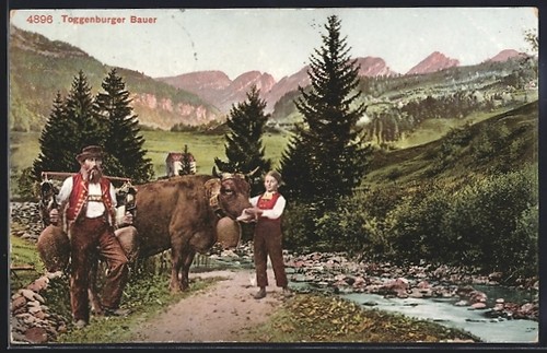 Costumi svizzeri - costumi,
