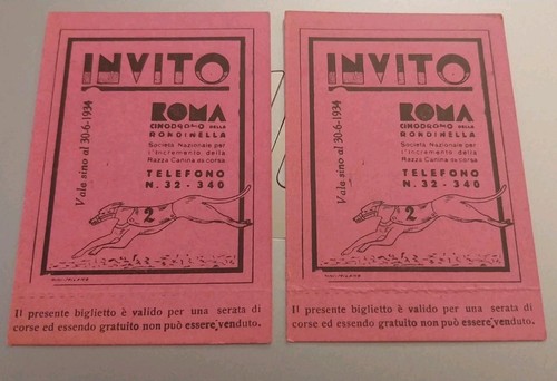 Cinodromo rondinella - cinodromo,