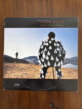 Pink Floyd Delicate Sound Of