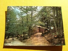 (FG.A88) SASSETTA - VILLETTE nella zona MARE-MONTI, VAL CANINA (foto Frassi)