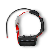 Nuovissimo collare tracciamento cani Garmin TT 15X versione USA