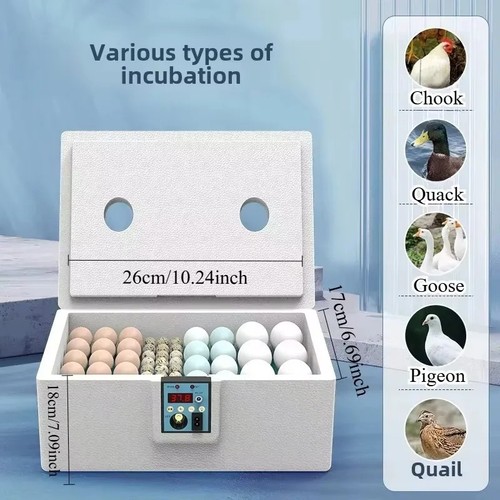 Intelligent egg incubator for - intelligent,