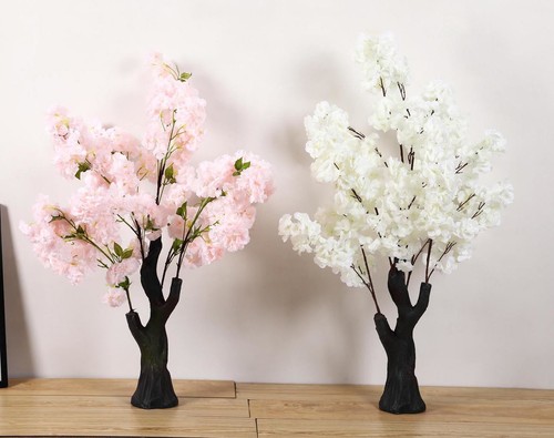 Albero ciliegio soffici - albero,